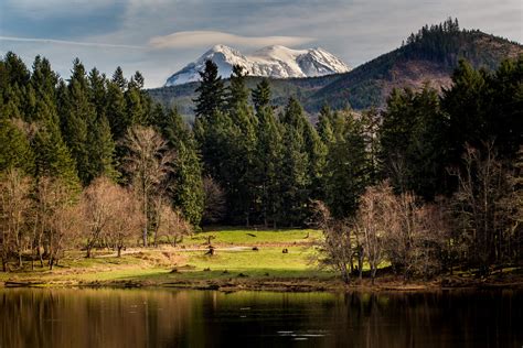 Northwest trek wildlife park - Northwest Trek Wildlife Park. Northwest Trek Wildlife Park is a 723-ace natural wildlife area near Mount Rainier’s base. It’s best described as a mix of a park, a …